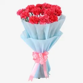 Adorable Pink Carnation Flower Bouquet